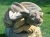 avatar naspatricek