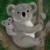 avatar koalice