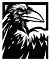 avatar raven