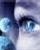 avatar michalbc