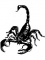 avatar stir