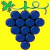 avatar regine