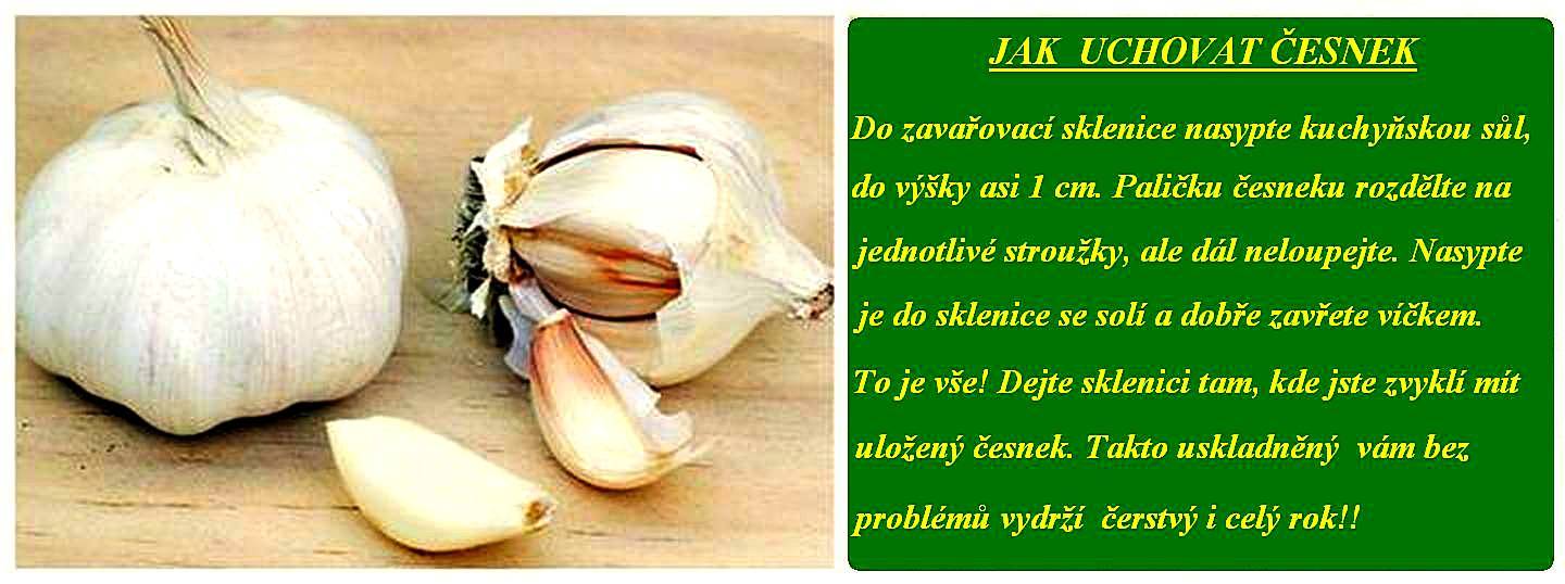 Jak Nejlepe Uchovat Oloupany Cesnek (oloupaného česneku, stroužky česneku, chuť aroma, nebo nádoby) Jak Nejlepe Uchovat Oloupany Cesnek