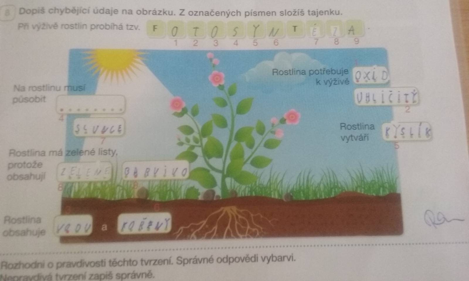 Co musí pusobit na rostlinu?