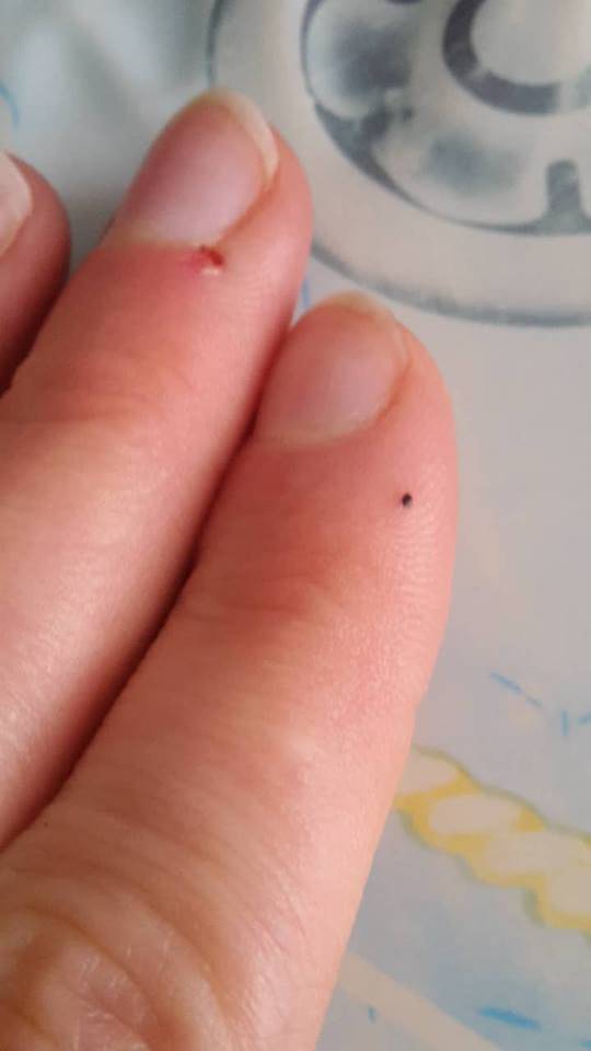 Stenice Na Prstu () Stenice Na Prstu