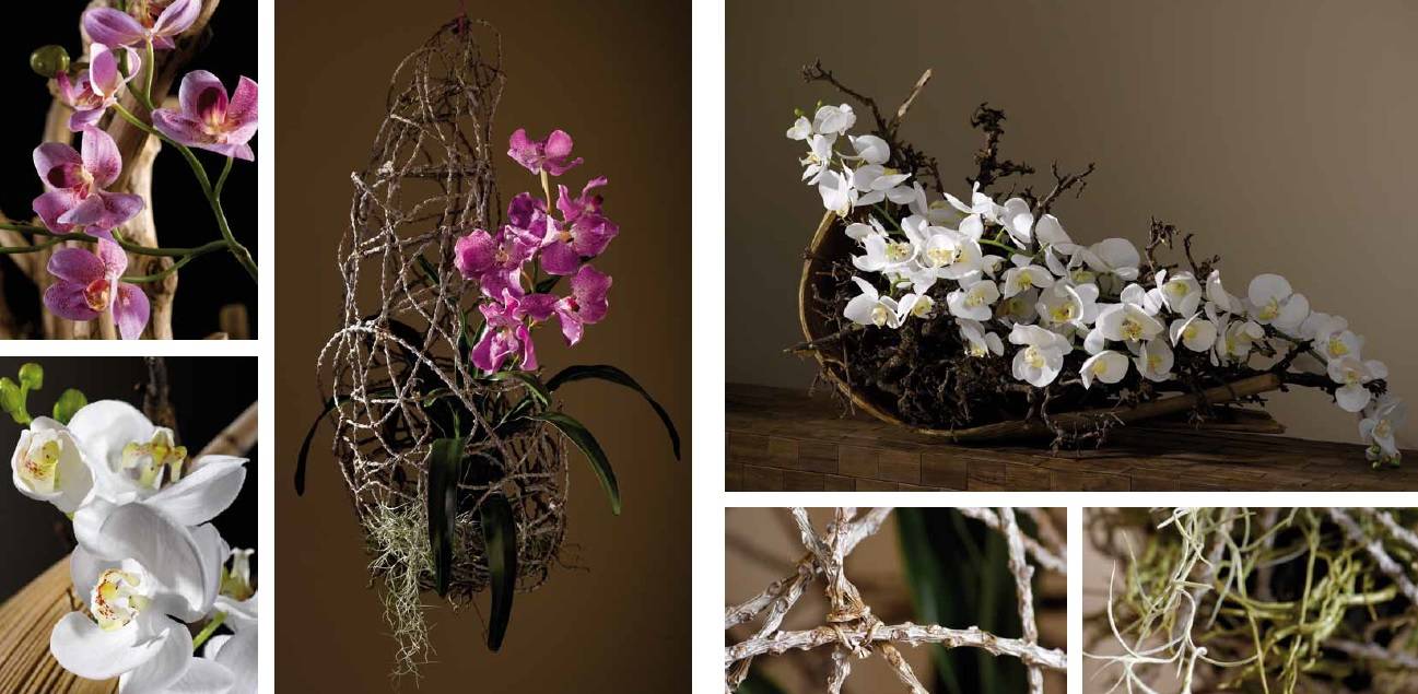 Jak pěstovat orchideje bez substrátu?