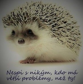 Kluk s psychickmi potemi