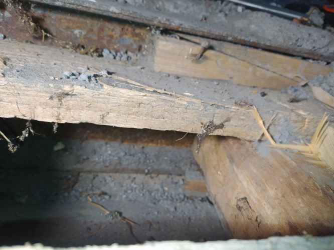 Rekonstrukce podlahy #4