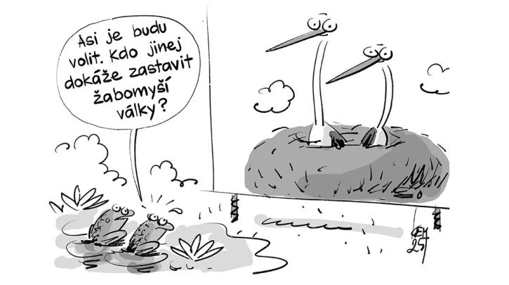 Chystte se letos jt k volbm? #5