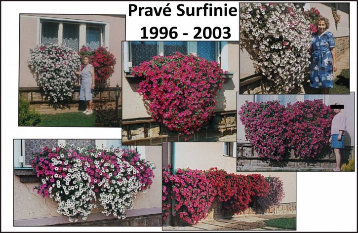 Milionbels - ivotnost