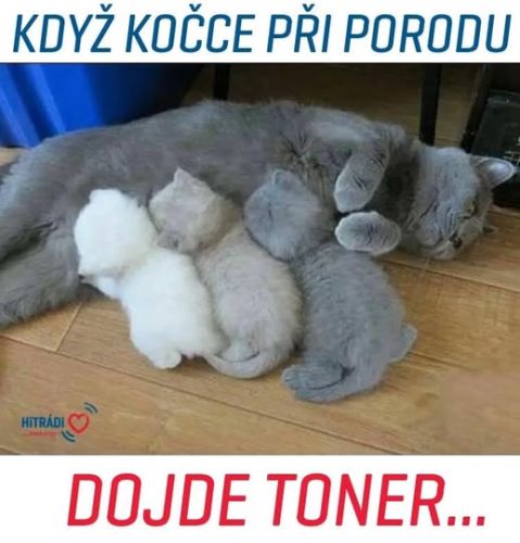 Zasmjeme se opt? #93