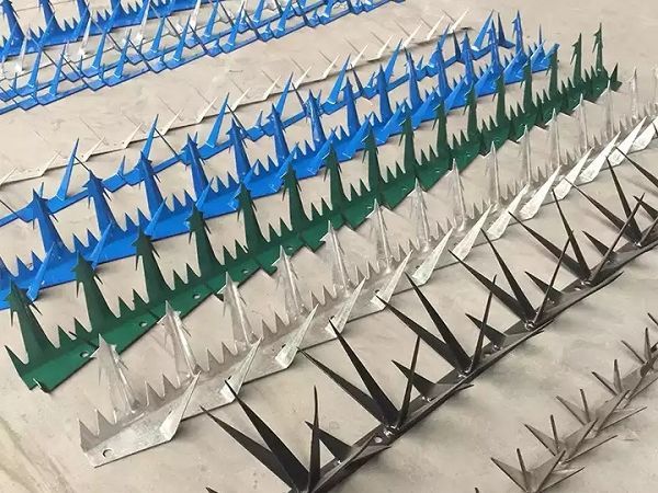 Jak vyhnat ptky z domu #3