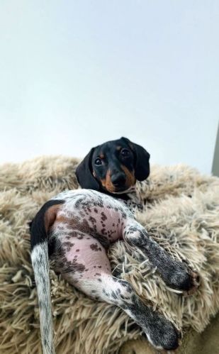 Dvej, pemlej, co to je? #6