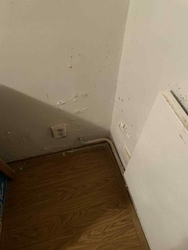 Plse a mokr zdi v suternu #2