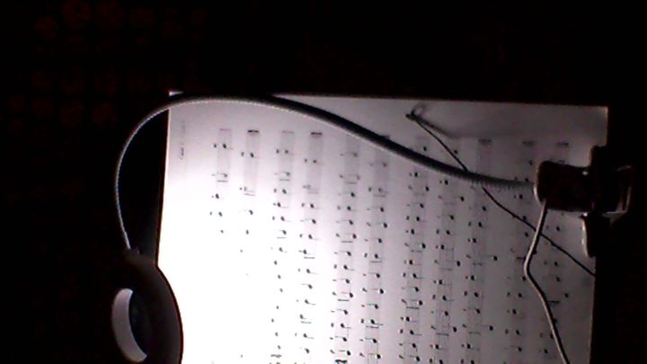 Potebuji sehnat lampiku s delm husm krkem #3