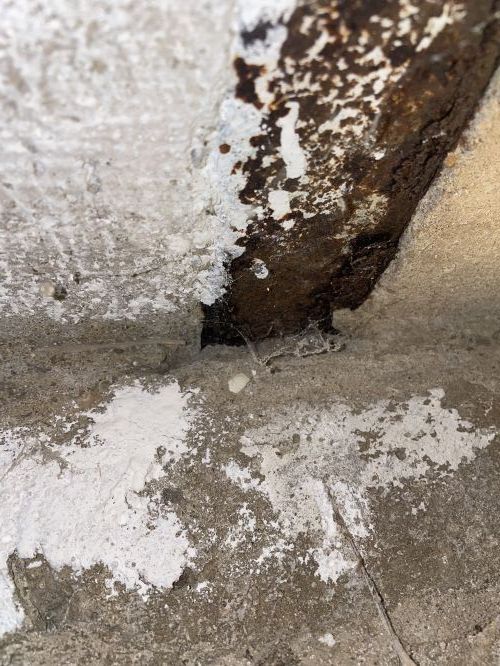 Rezav nosnky stropu ve sklep