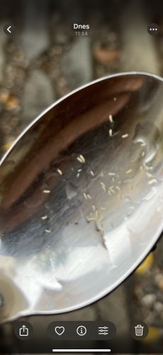 Identifikace kdce #3