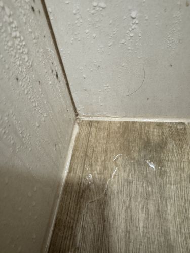 Vlhkost v pronjmu - mokr stropy, plse a spor s majitelem #2