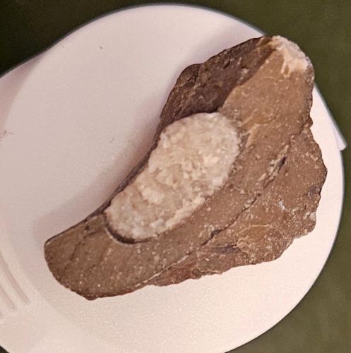 Kdo se vyzná ve zkamenělinách a poradí mi #2