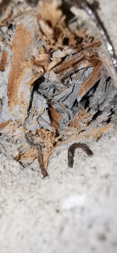 Je v tomto materilu azbest? #3