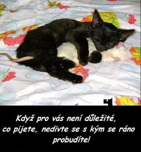 Fungl nov Zasmjeme se #2