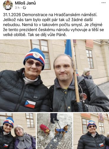 Demonstrace na podporu prezidenta #4