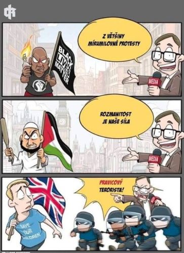Demonstrace na podporu prezidenta #5
