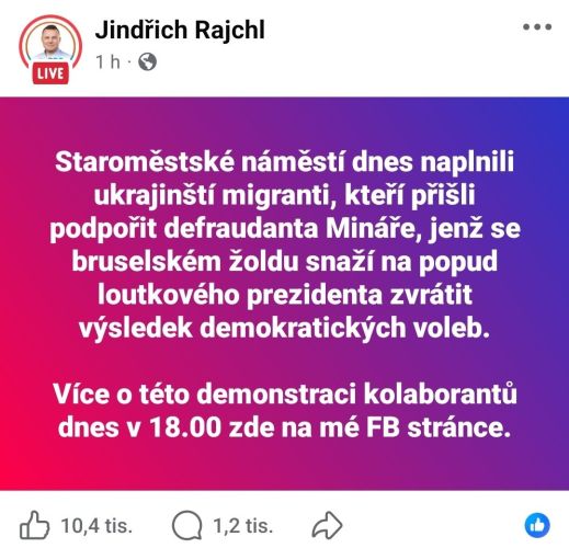 Demonstrace na podporu prezidenta #6
