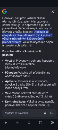 Plíseň u psa