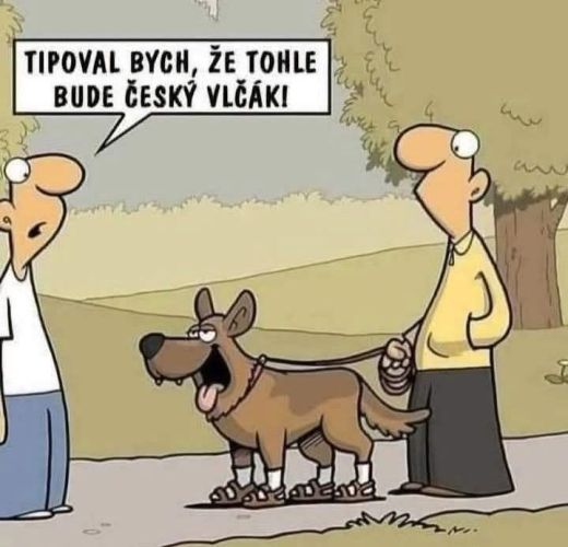 Fungl nové Zasmějeme se #25