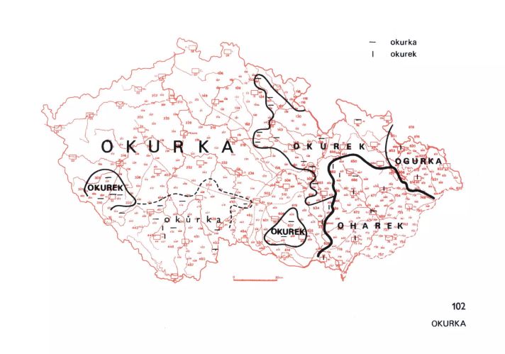 Okurka nebo okurek?